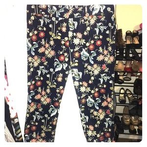 Ann Taylor Ankle Length Floral Pants